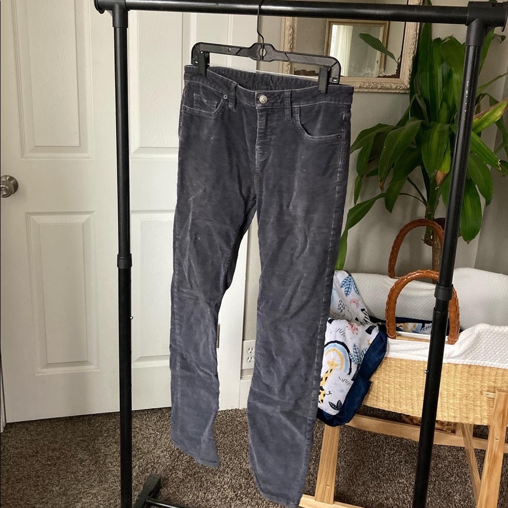 Patagonia Corduroy Pants